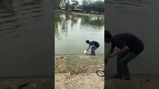 Survival Skills Unbelievable Fishing 1573