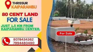 Thrissur Kaiparampu | 80 Cent Land for Sale | Best Investment Property 