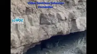 La Voz TV: Puma en Pic&uacute;n Leuf&uacute;