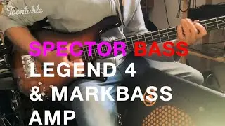 Spector Legend 4 and Markbass Amp. Spector Bass on a budget - sounds grown up! Funk & Jazz approved.