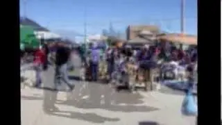 GUADALUPE VICTORIA DURANGO TIANGUIS DE LOS TERRENOS