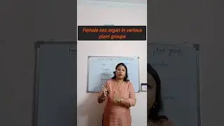 #shorts#Female sex organ in various plant groups#Plant Kingdom#class11#Biology concept#