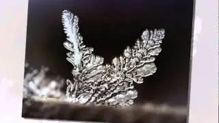 A Midsummer Night's Dream / Сон в летнюю ночь