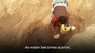 The State of the World&rsquo;s Land and Water Resources for Food and Agriculture 2025