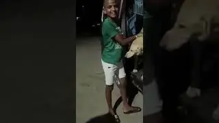Rescued street dog w eye injury released to streets after rehab