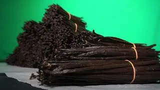 Vanilla Beans Production in Sri Lanka