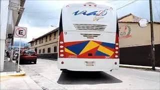 Todo el día en la terminal, entrada y salida de autobuses: ADO, ATAH, AU, SIERRA TEXCOCO, SUPRA, VIA