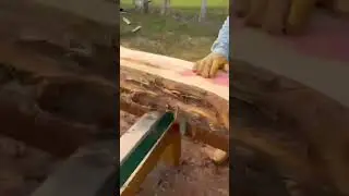 the process of cutting wood with a very large machine #shorts