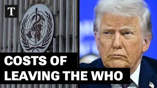 US Withdrawal From The WHO Will Hamper Global Health Security | Dr Paul Spiegel
