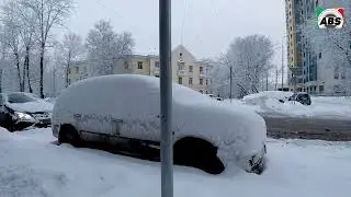 Severe Snowfall and Extreme Cold Paralyze Russia, Iran, Afghanistan, and Pakistan