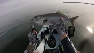 First Bluefish of 2022! (Connecticut Saltwater Fishing)