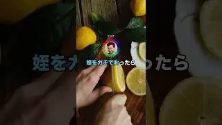 姪をガチで叱ったら泣き出して兄嫁にキレられたんやが #shorts