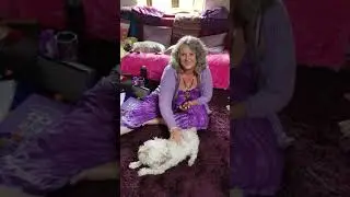 Tuning Fork Healing and Pets