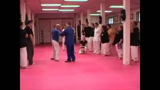 Chen Style Practical Method Yilu 1st Move Application