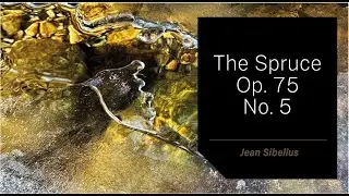 EPISODE.113 - Jean Sibelius - The Spruce, Op. 75 No. 5