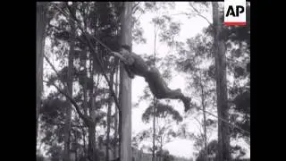 JUNGLE TRAINING - SOUND