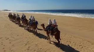 Reviews of Outback and Camel Ride Safari in Cabo San Lucas B.C.S., Mexico