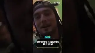 Este perrito es un experto en el billar 🎱