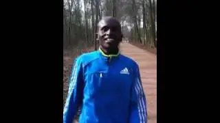 kitwara haagse bos
