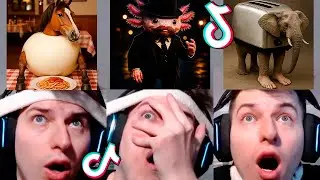 НОВИНКА: Итальянские животные, вызывающие мозговозг 😱 Подборка видео из TikTok (Anatoxich) #96