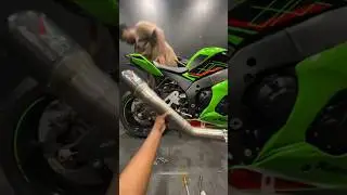 Austin Racing exhaust in ZX10R🔥 | #zx10r #austinracing #crazybikes