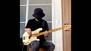 プレベ/フラットワウンド弦/オクターバーペダル #precisionbass  #labellastrings #octavepedal