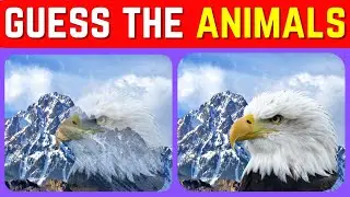 🐾🐶🐵🐈  GUESS THE HIDDEN ANIMAL BY ILLUSION! 🐶🐵🐈 🐾