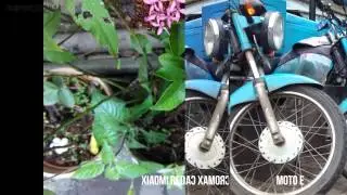 Xiaomi Redmi 1S vs Micromax Canvas A1 vs Moto E Camera Review (Photos & Video Samples)