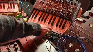 Inner & Outer Worlds, a Conceptual Performance  / Invisible Inner World (no synth audio)