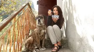 Most times I don't know what I'm doing