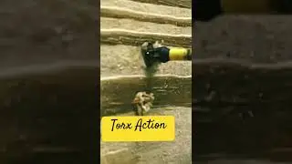 Handyman Uses Torx Head Screws #tips #diy #HandymanHacks #handymantips #handymanservices #carpenter