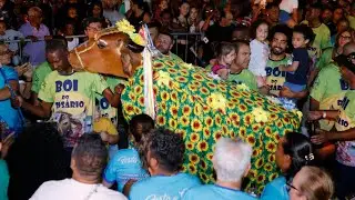 Desfile do Boi do Rosário - Abertura da Festa do Congo de Oliveira 2025