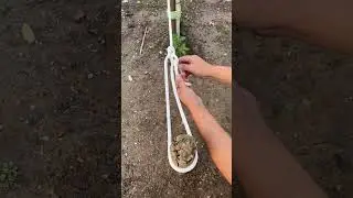 Great, Self-Locking Simple Trucker's Hitch!