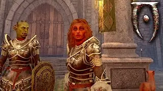 The Quest To Become a Knight-Errant