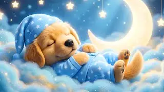 Fall Asleep Naturally 🌙 Calm the Brain, Ease Anxiety & Support Melatonin Release