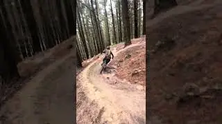 Laps been sickkk #mtb #downhill #viralvideo