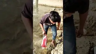 Bag found in Ganga #narora #ganga #ghat #shortvideo