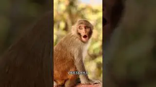 Когда нибудь думали об этом?