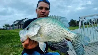 Catching PB CRAPPIE from the DOCK!