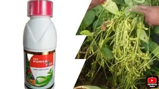 Best results of power plus in crop of soyabeen