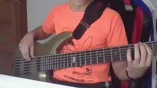 Yamaha RBX JM2 | A Change of Seasons Bass cover Intro