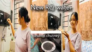 Daily vlog simple living || Ghar me new RO water lagaye | sesame chutney @PronitaIslary 