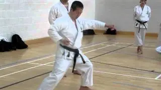 Kagawa-sensei shows hipvibration in kata gojushiho-sho #gojushihosho #kata #karate #shotokan #空手道