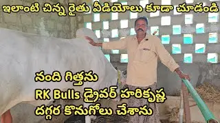 చిన్న రైతుగా ఎద్దులతో మొదలైన నా ప్రయాణం కంటిన్యూ చేస్తాను || చిలుకూరి నాగేశ్వరావు గారు J. పంగులూరు