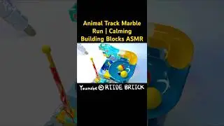 Relaxing Animal Track Challenge | Creative Marble Run ASMR