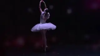 Swan ballet - Dying Swan