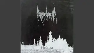 Permafrost Forest