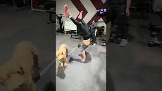 2026 Koda Classic Event 2: KARATE KID & MR MIYAGI- ANNEX