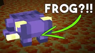FROGS IN THE END?!! 🤯 #minecraft #mcpe #shorts