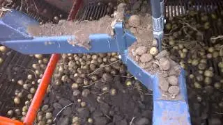 MAS Agro - Dewulf 2060 работа в Палодаре ТОО Aktogay.mp4